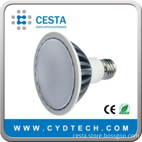 9W LED PAR30 Bulb